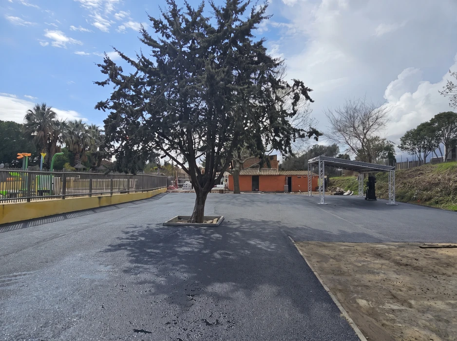 Parking récemment asphalté avec un arbre isolé sur îlot béton central